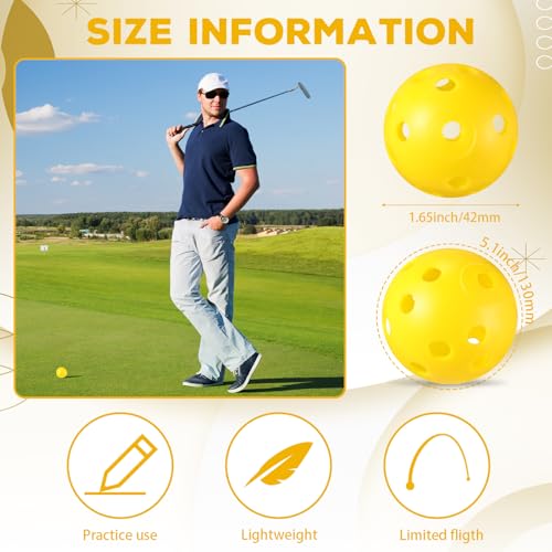 Lunmon Yellow 24 Pack Practice Golf Balls 42mm Plastic Golf Balls for Training