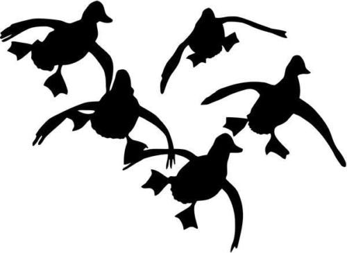 Duck Goose Hunting Vinyl Decal for Cars and Trucks - 6 Year Durability