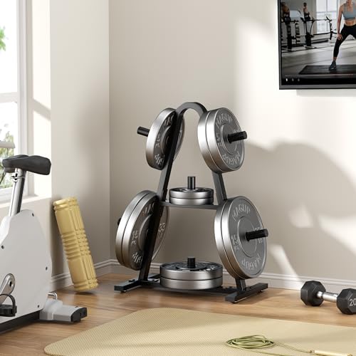 Olympic Weight Plate Rack - 400LB Heavy Duty Storage Tree