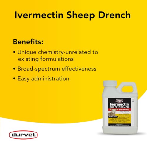 Durvet Ivermectin Sheep Drench - One Size, Dewormer for Sheep
