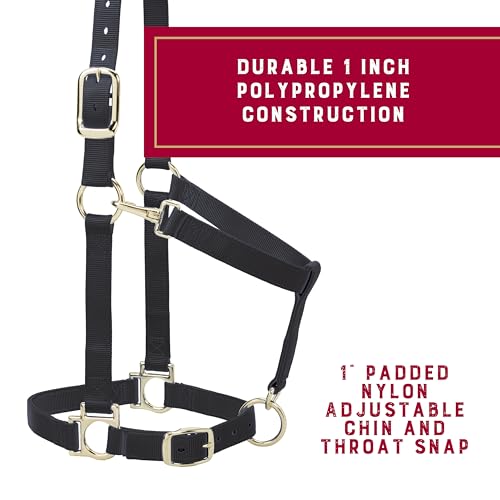 Nylon Horse Halter - Padded, Adjustable with Snap Hook - Black, 1"