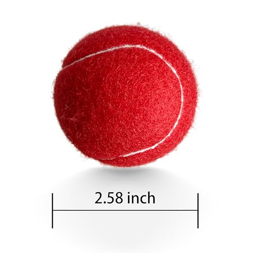 Tennis Balls - 4 Pack Long Lasting Practice Balls for Beginners & Dogs - Red