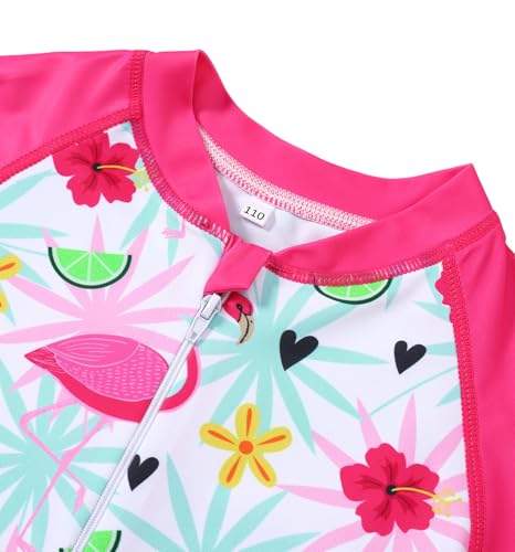 Girls Long Sleeve Swimsuit - Zipper Rash Guard, UPF 50+, Pink Flamingo, 5-6 Years