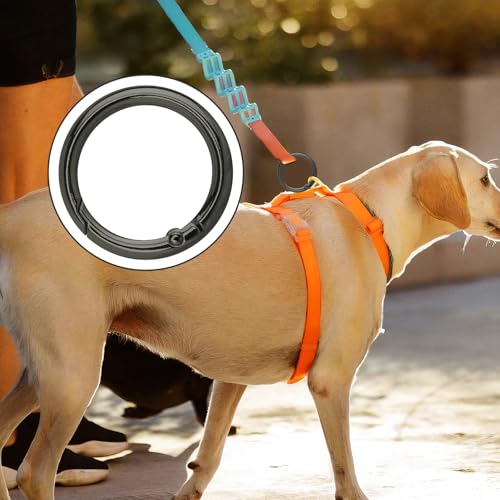12 Pcs Spring O Rings Clip Keychains - Black & Gold