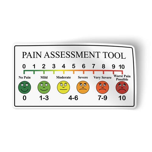 Pain Assessment Tool Scale Vinyl Sticker - 8" x 4"
