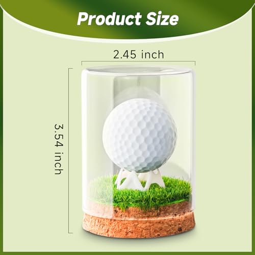 Rocalt Hole-In-One Golf Ball Display Case - Cork Base & Glass Cover (Golf Ball Display Case) brand