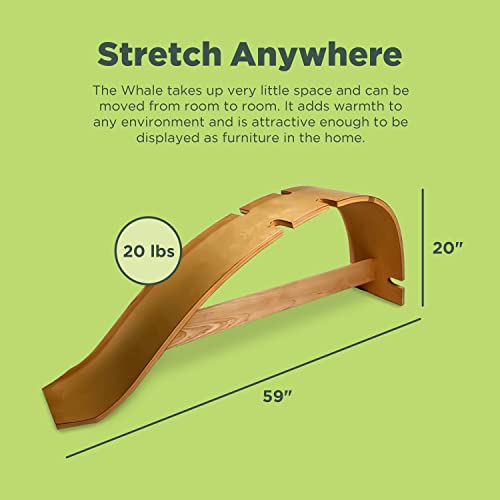 Whale Curved Back Stretching Bench - Spinal Alignment Tool