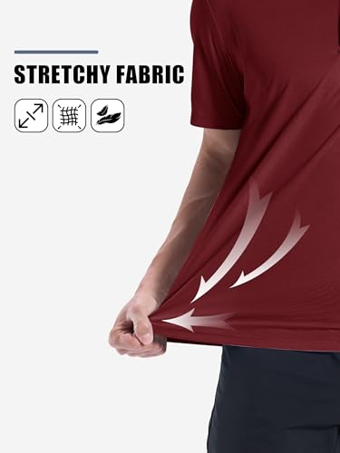 Men's Short Sleeve Performance Polo Shirt - Moisture Wicking Golf Tee, Large Wine Red