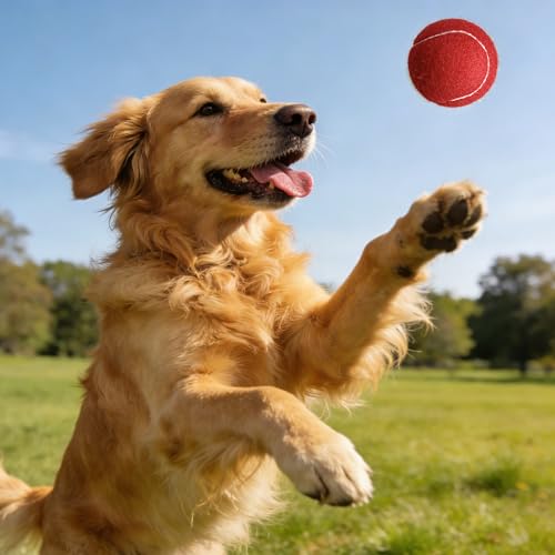 Tennis Balls - 4 Pack Long Lasting Practice Balls for Beginners & Dogs - Red