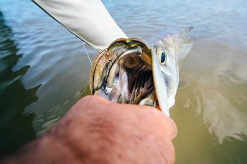 Fishing Bait - Berkley Gulp! Black Gold 6" Soft Bait