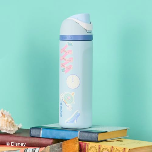 24 oz Insulated Stainless Steel Water Bottle with FreeSip Spout