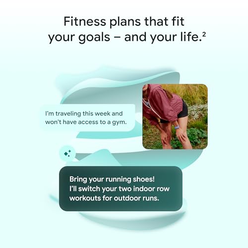 Fitbit Air Performance Loop Band - Microadjustable, Obsidian