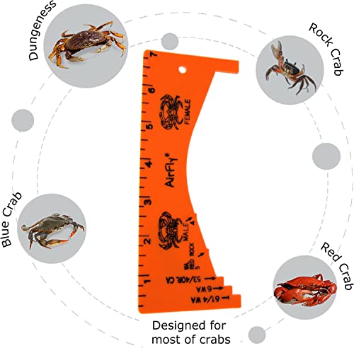 Crab Gauge Measuring Tool - Dungeness, Rock & Blue Crab - 1-Pack Orange
