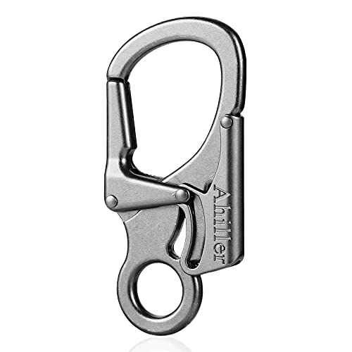 Ahiller Dual Lock Carabiner Clip, Zinc Alloy Keychain for Outdoor