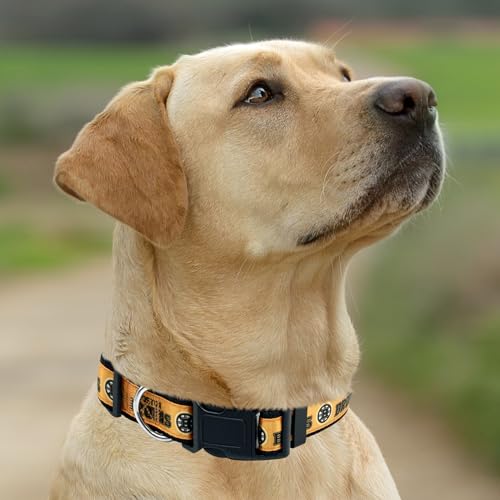 Boston Bruins Pet Collar for Dogs & Cats - Medium (12-18" L)
