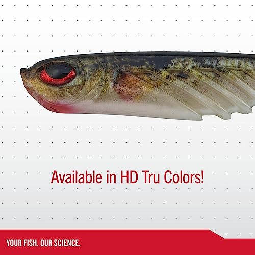 PowerBait Ripple Shad Soft Plastic Swimbait - HD Gizzard Shad, 3 1/2"
