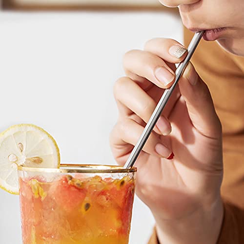 Reusable Stainless Steel Straws & Spoon Set - 6 Pieces Circular