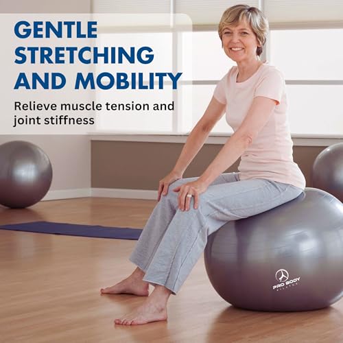 Yoga Ball 65 cm - Anti-Burst Exercise Ball for Pilates & PT Use