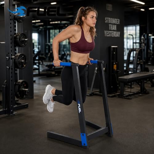 Dip Station for Bodyweight Training - Black/Blue