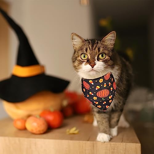 2-Pack Halloween Dog Bandana Set - Pumpkin & Candy Corn - Large