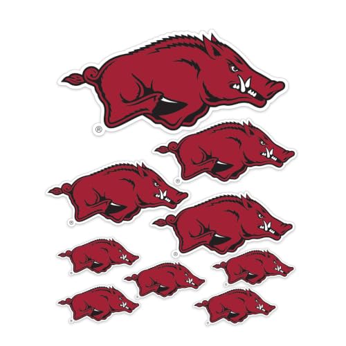Arkansas Razorbacks T3-1 Desert Cactus Vinyl Sticker Decal College Fan Gear