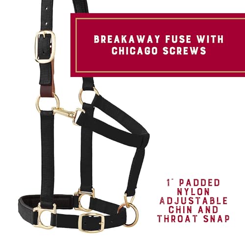 Breakaway Horse Halter with Comfort Foam Padding - Black