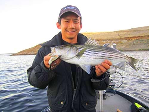 Multi Jointed Swimbait Fishing Lure - Clear Lake Hitch