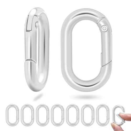 1-Inch Silver Oval Carabiner Clips - 10 Pack for Keychains & Pets