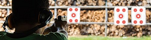 Five Bullseye Target