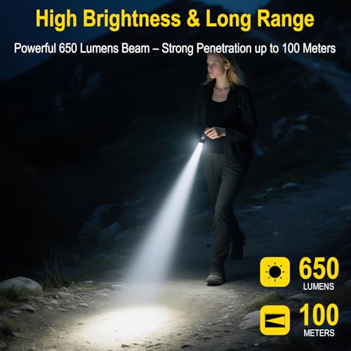 BORUIT U8 Small Flat EDC Flashlight,650 Lumens USB-C Rechargeable Pocket Flash Light with White, Yellow & RGB LEDs, IP67 Waterproof, Magnetic Tail & Clip for Camping, Hiking, Emergencies