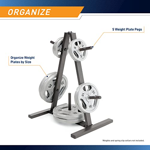 Weight Plate Tree for 1-Inch Plates - 300 lb Max Capacity
