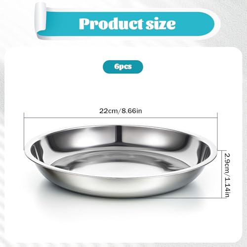 Stainless Steel Dinner Plates 9 Inch Set of 6 Camping & Home Use