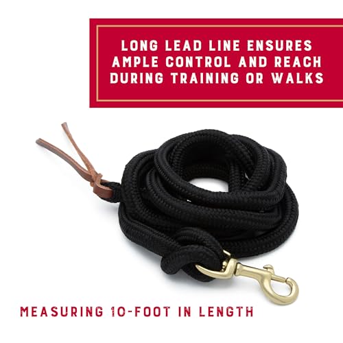 10' Black Horse Lead Rope with Brass Snap - Comfortable Grip