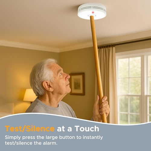 Smoke Alarm with LED Indicator with Mute Button, Fire Alarm Smoke Detector with Built-in 10 Year Battery, Model VS02