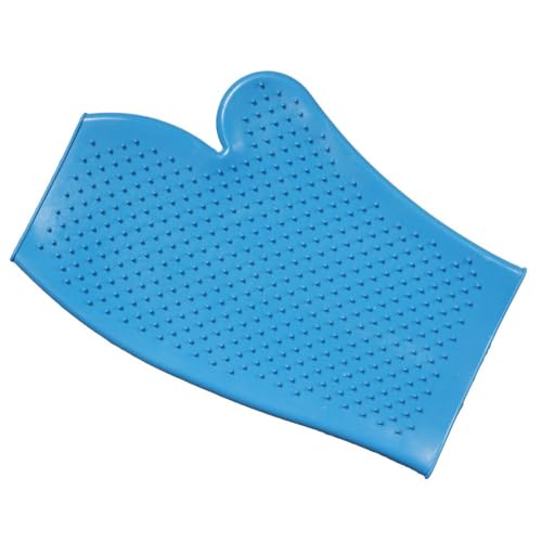 Rubber Grooming Glove for Horses - Turquoise