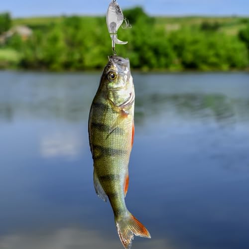 Ghanneey 10Pcs Unpainted Fishing Lure Blanks 0.53oz/15g DIY Swimbaits Crankbaits Kit