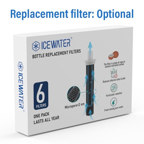 ICEWATER Midnight Black 64 oz Insulated Water Bottle with Filter Straw