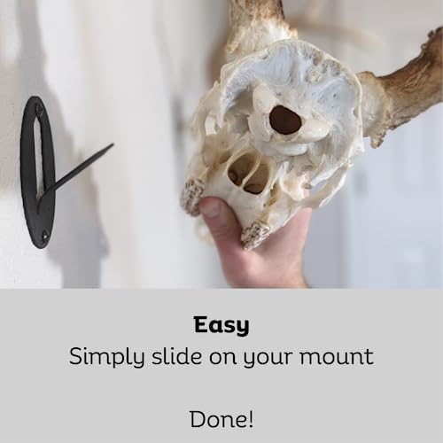 Kabash Outdoors European Deer Skull Mounting Kit - Made in USA, Quick Install, Includes Hardware — Variation 1