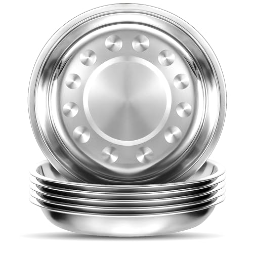 Stainless Steel Dinner Plates 9 Inch Set of 6 Camping & Home Use