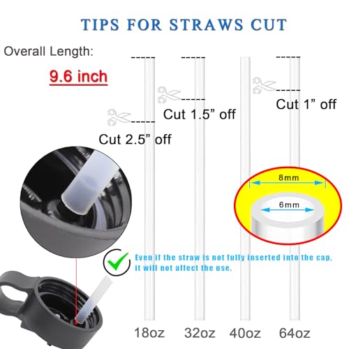 Replacement Straws for Wide Mouth Water Bottles with Cleaning Brush - 3 Pack