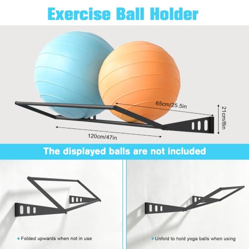 Wall Mounted Exercise Ball Rack for Yoga & Fitness Balls - Holds 2