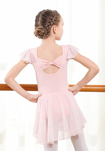 Girls Shiny Ballet Leotard Dress with Ruffle Sleeves - Pink, 4-6 Years