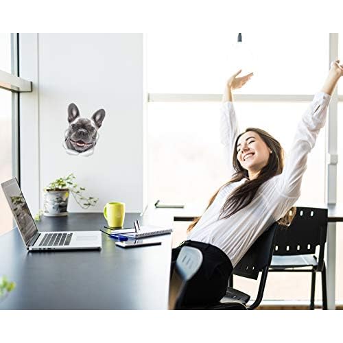 Winston & Bear Smiling Frenchie Dog Wall Decals - 2 Pack - French Bulldog 3D Sticker Decals for Walls, Cars, Toilet and More - Retail Packaged French Bulldog Gifts