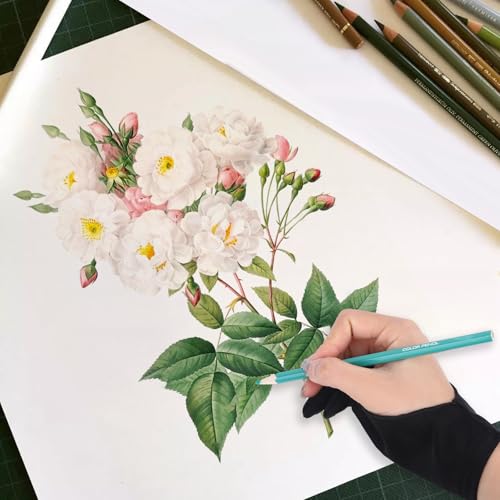 Artist Drawing Gloves for Right and Left Hand,Palm Rejection Digital Writing Gloves,Artist Glove With Two Finger