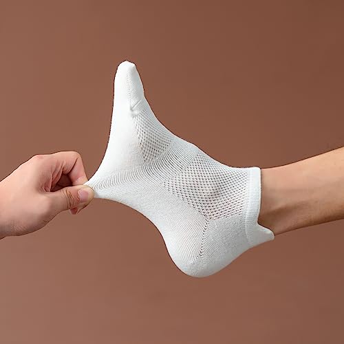 Women’s Low Cut Athletic Ankle Socks with Tab - 6 Pairs