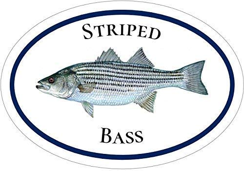 Bass Fish Vinyl Sticker - 4.7 x 3.3 Inch Weatherproof Fishing Decal