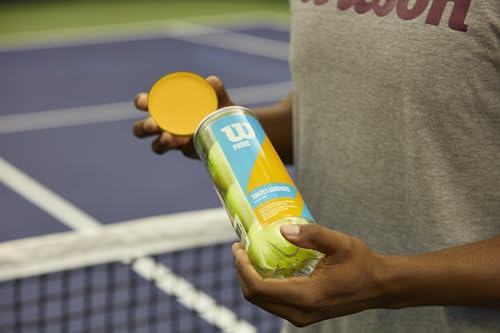Wilson Profile All Court Tennis Balls - Yellow Can (3 Balls)