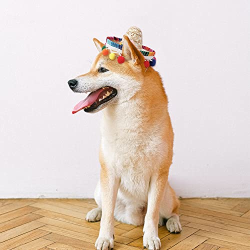 Mini Sombrero Hat Headband for Pets - Candy Color Dog & Cat Accessory