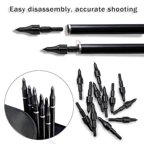 100 Grain Archery Field Points - Screw-In Bullet Tips, 12 Pack