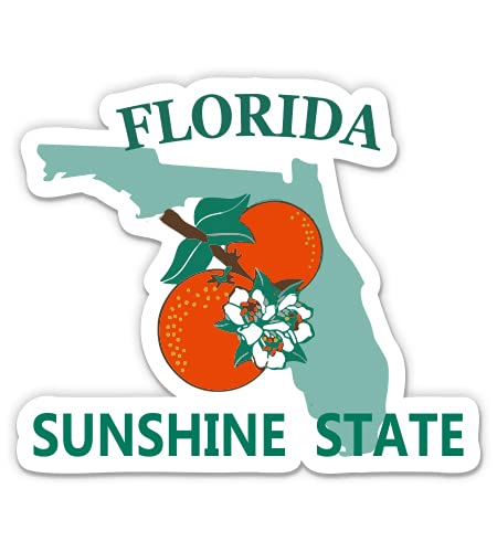 Florida Sunshine State License Plate Style 3" Vinyl Sticker